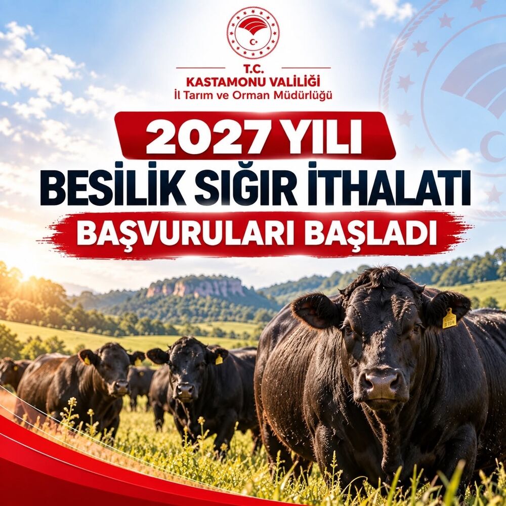 Besilik Sığır