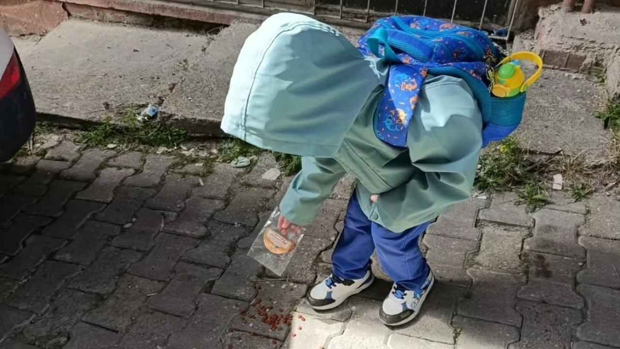 Devrekani Kuran Kursu (2)