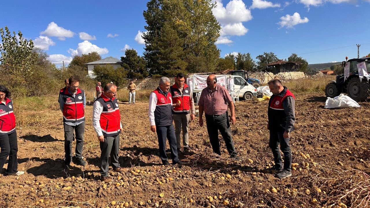 Devrekani’de Patates Hasadı Başladı Üreticiler Tarlada Buluştu 1