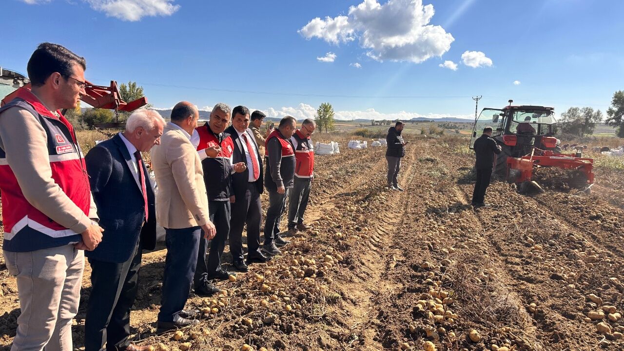Devrekani’de Patates Hasadı Başladı Üreticiler Tarlada Buluştu 2