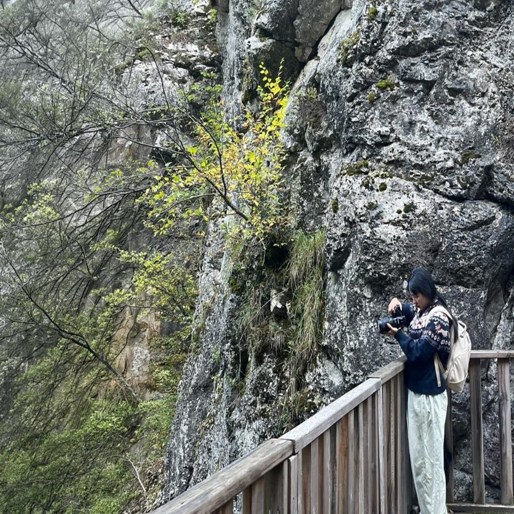 Güney Kore Kastamonu Horma Kanyonu (6)