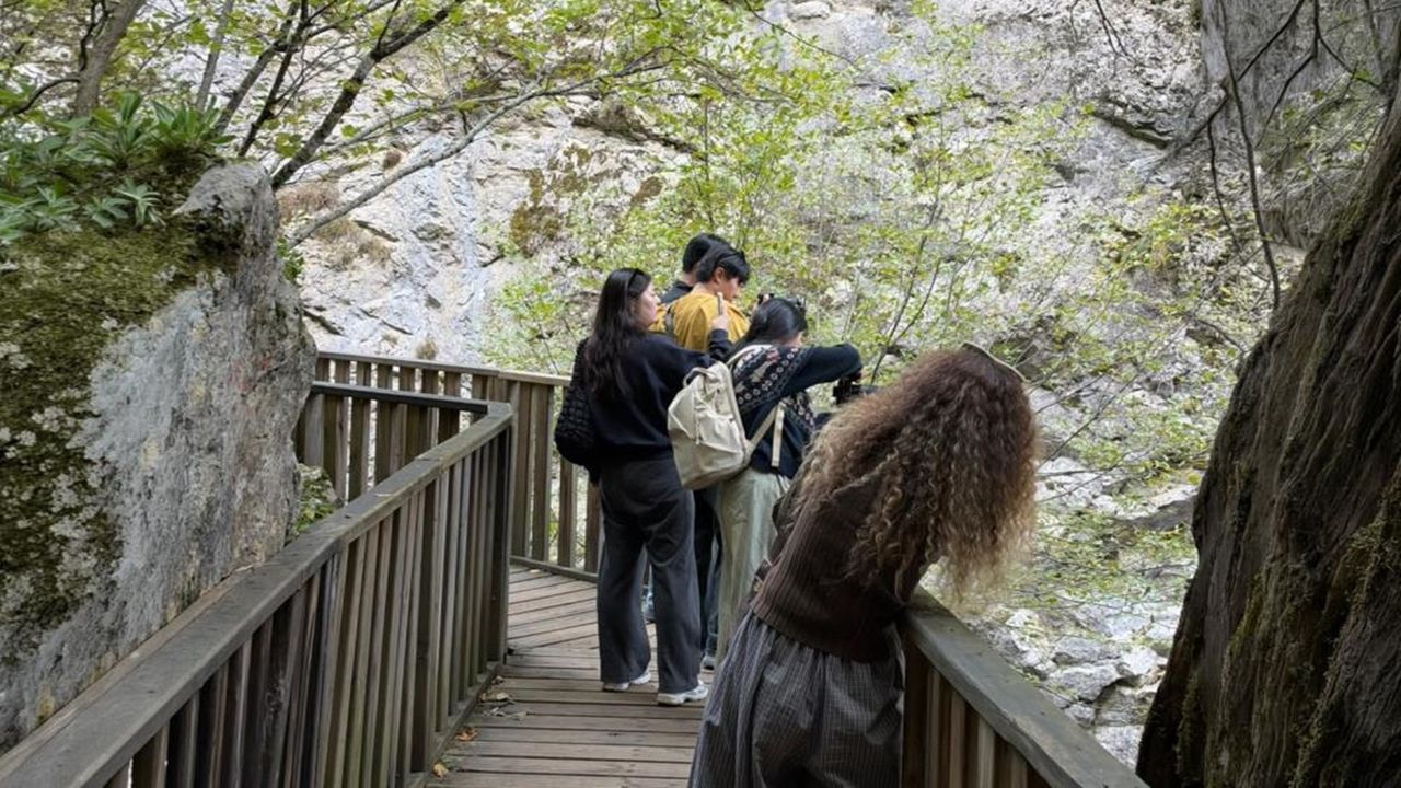 Güney Kore Kastamonu Horma Kanyonu (7)