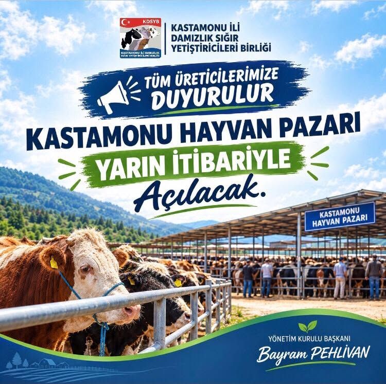 Hayvan Pazarı-2