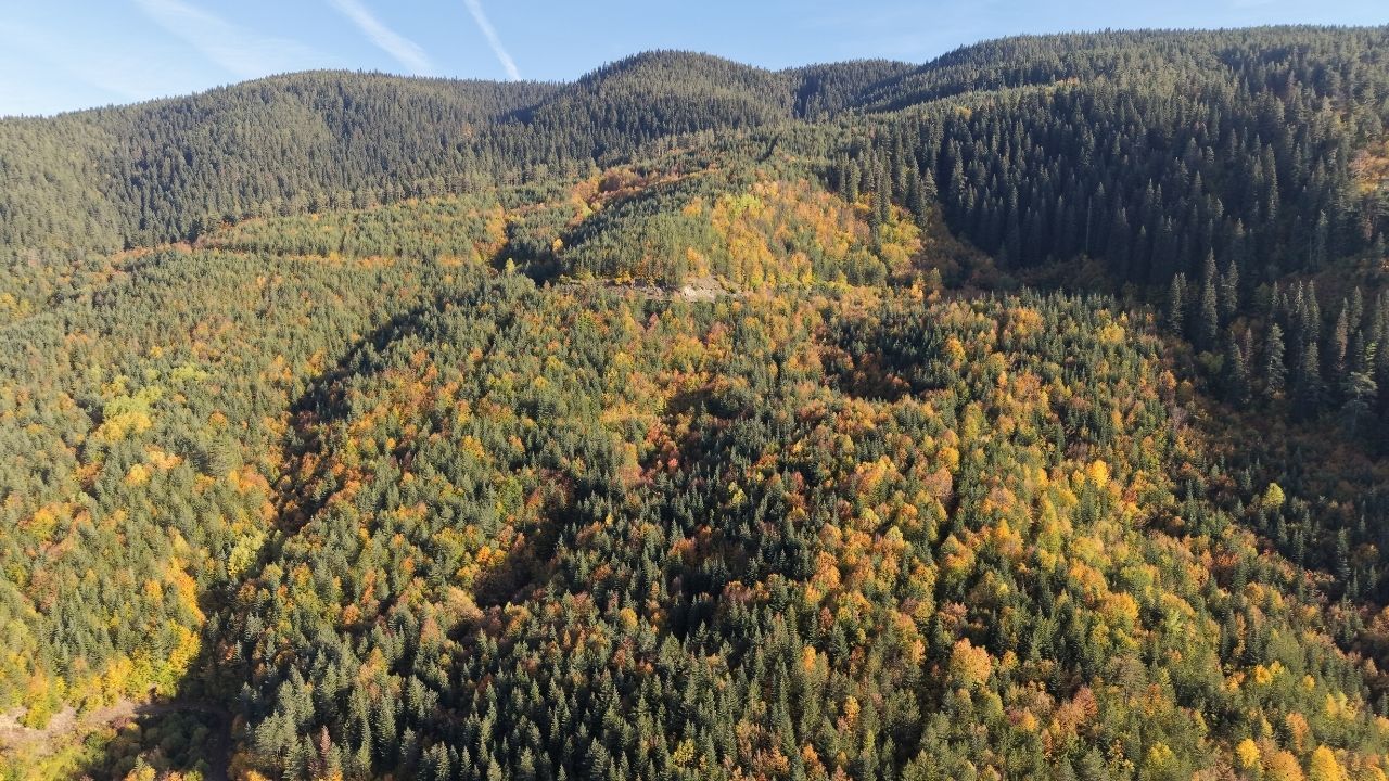 Ilgaz (2)-3