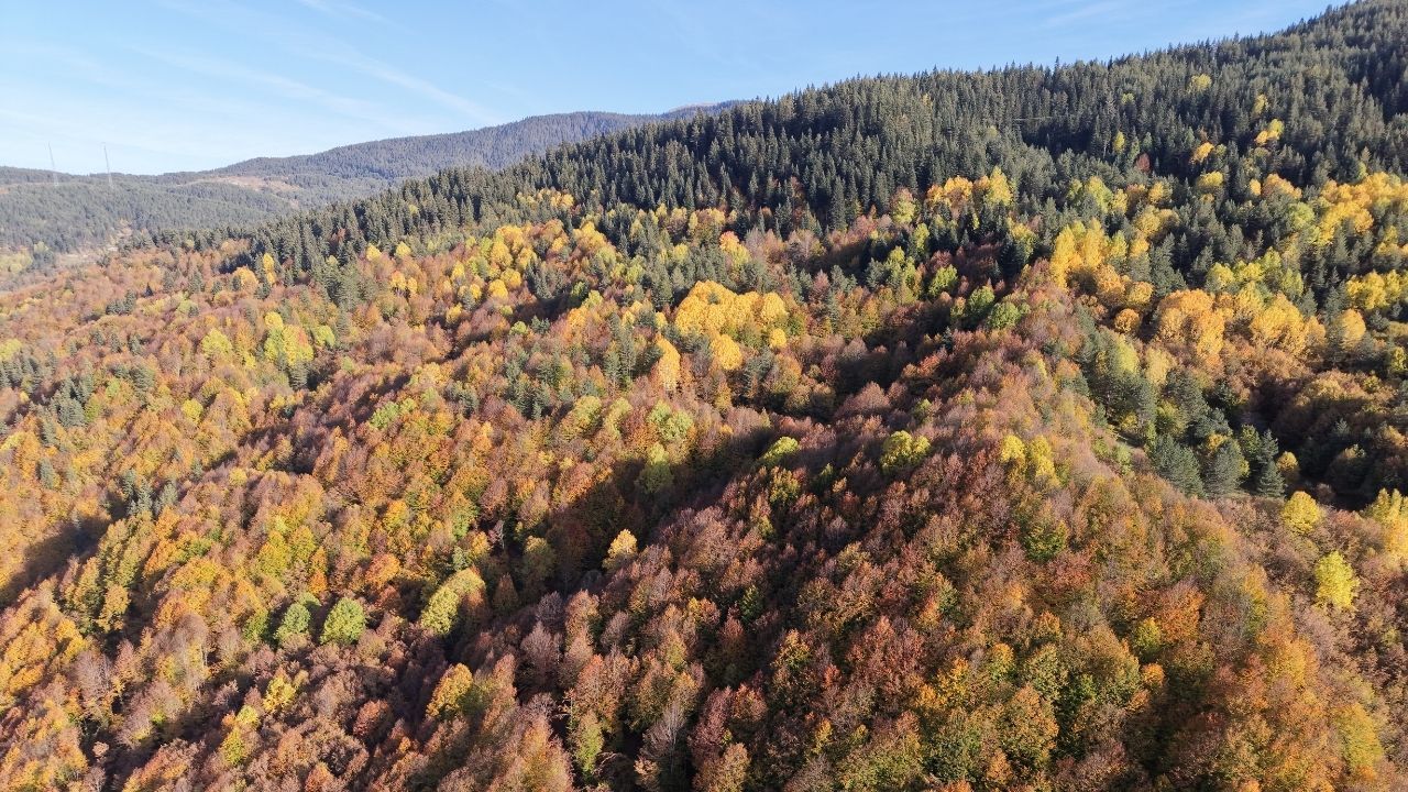 Ilgaz (5)