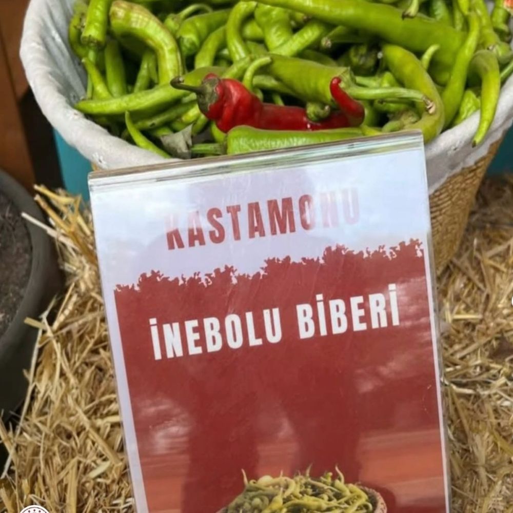Inebolu Biberi Adana Festivalinde (1)
