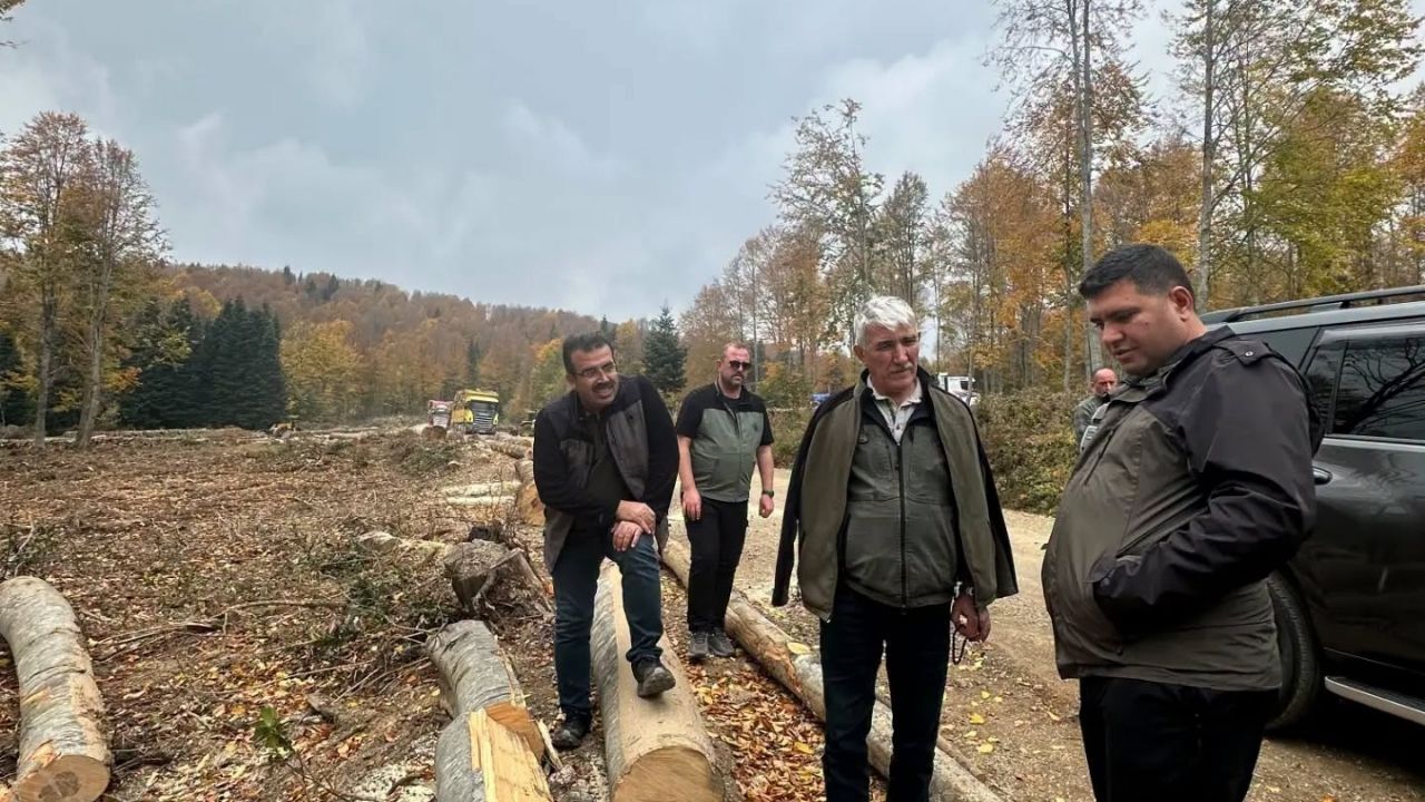 Inebolu Gençleştirme (2)