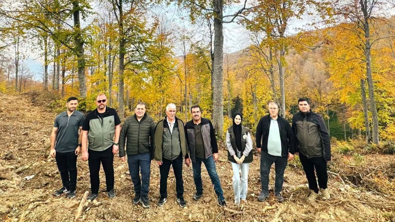 Inebolu Gençleştirme (3)