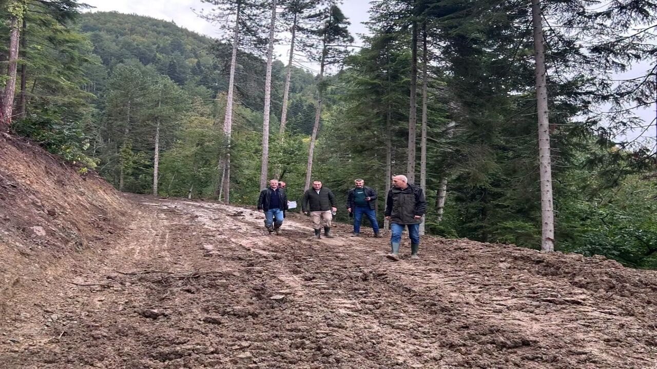 Inebolu Ya Yeni Orman Yolu (2)