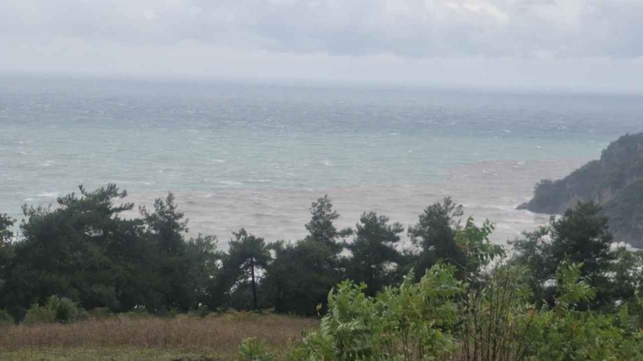 Karadeniz'in Rengi Değişti! (1)