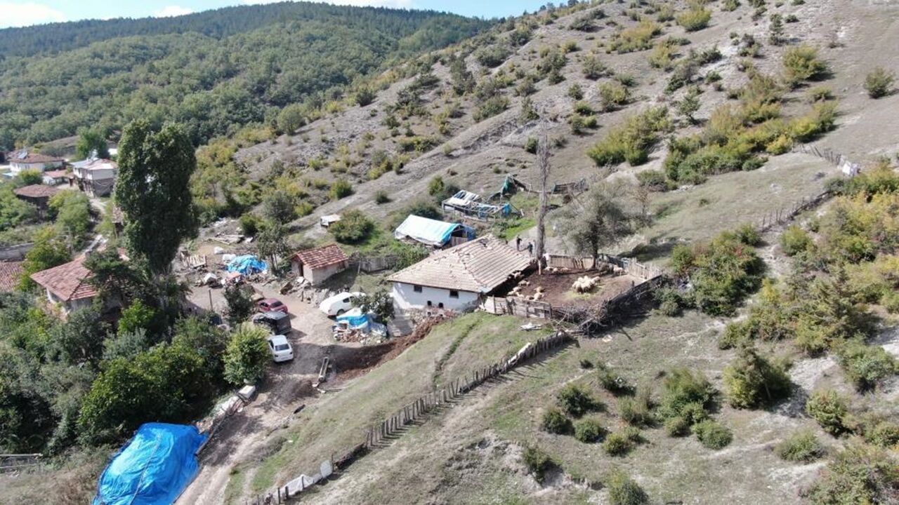 Kastamonu Ağlı Sürüye Kurt Daldı (1)