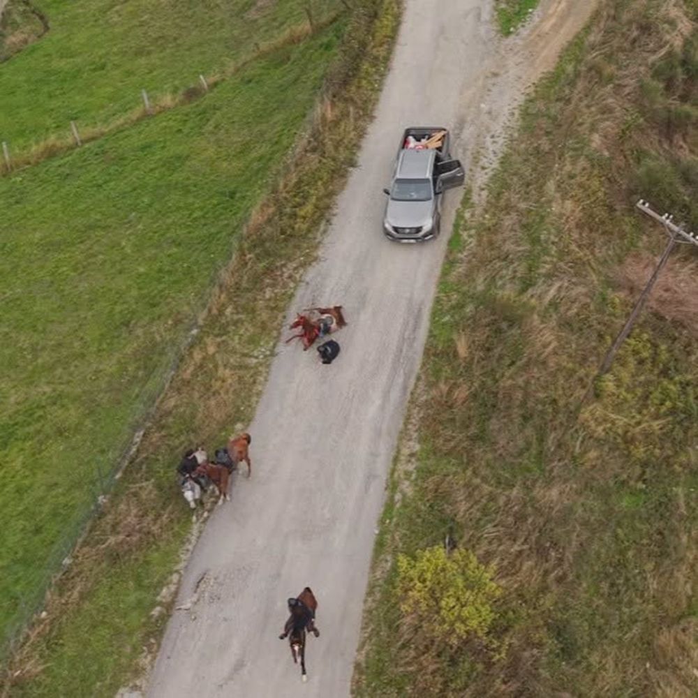 Kastamonu At Kazası (1)