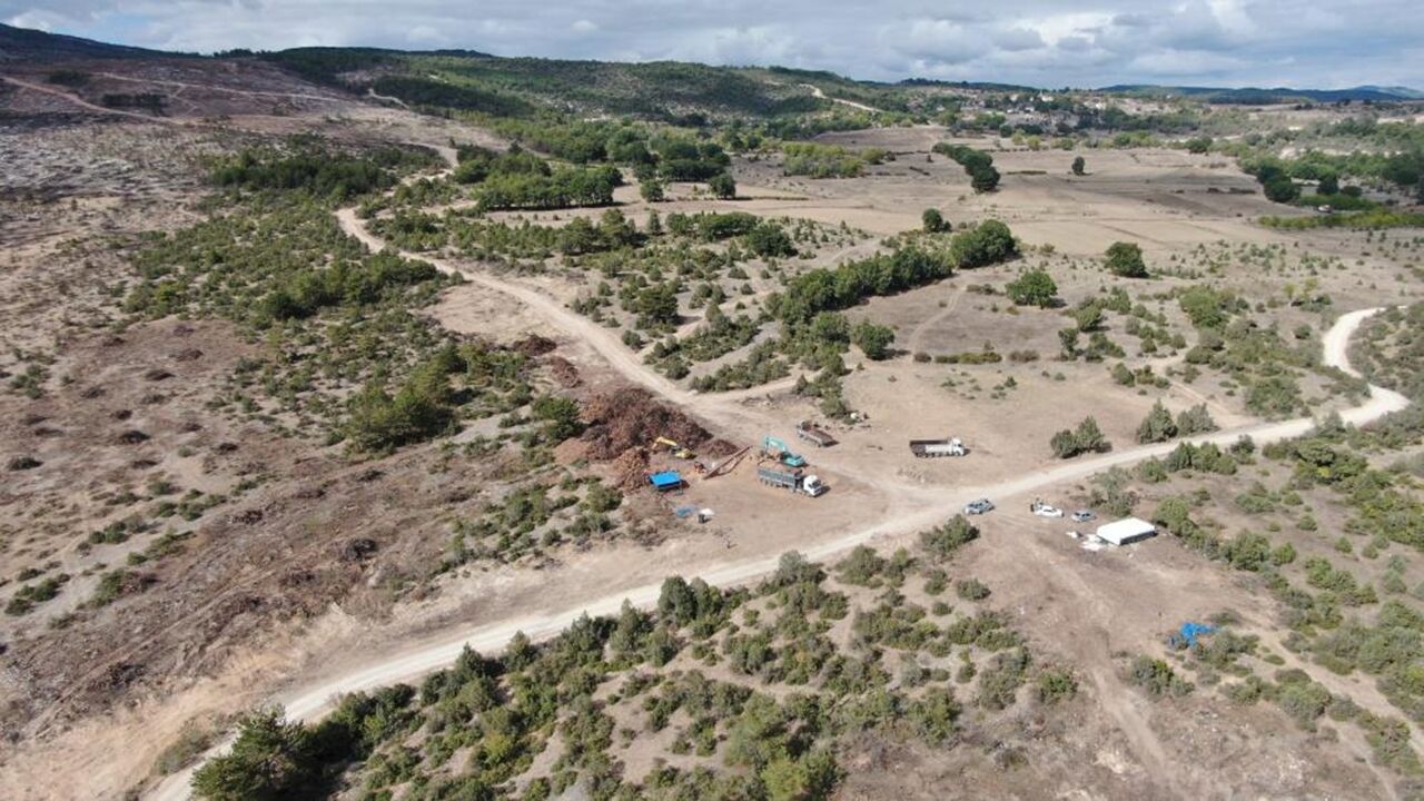 Kastamonu Da Ormarlar Yeniden Yeşerecek (2)