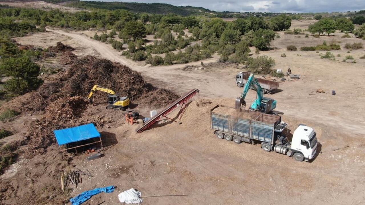 Kastamonu Da Ormarlar Yeniden Yeşerecek (3)
