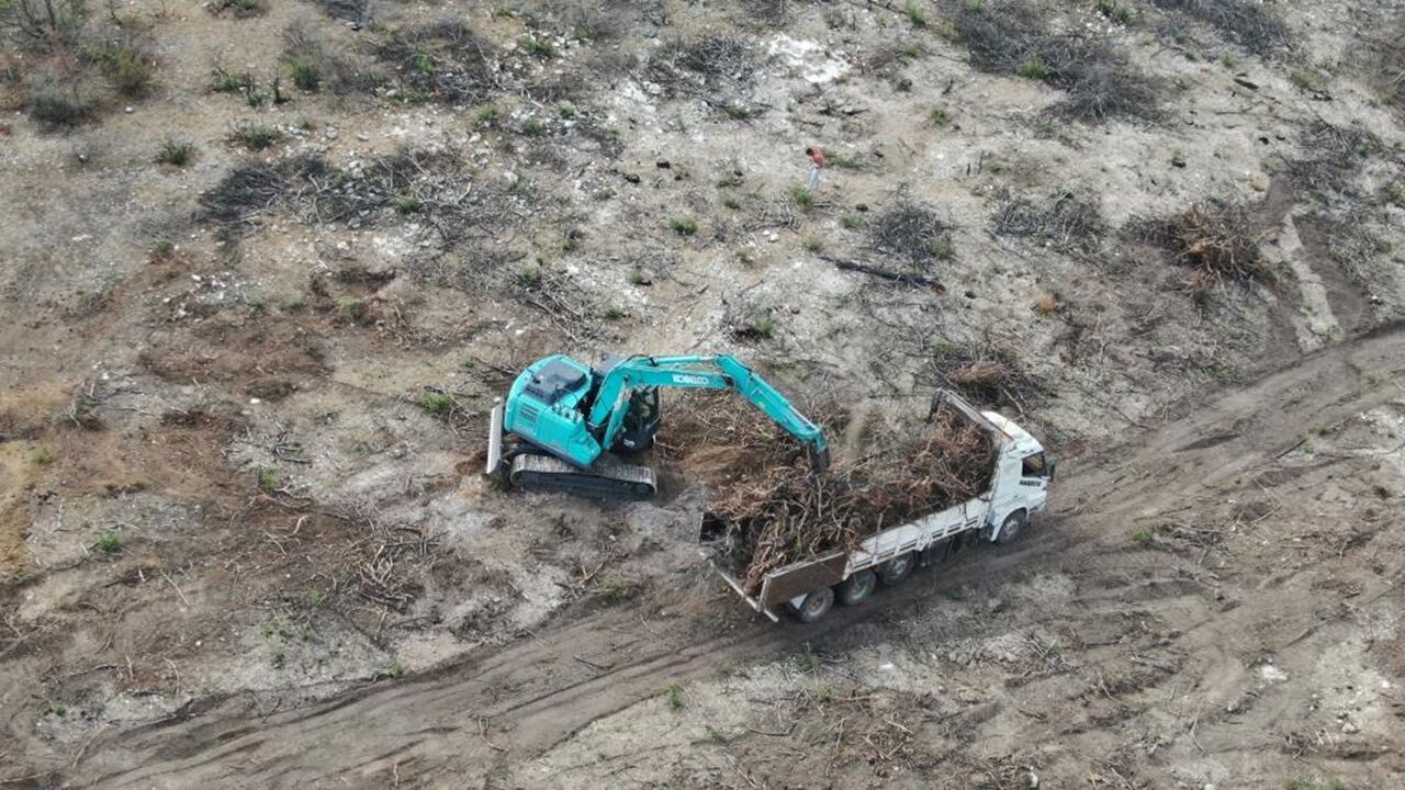 Kastamonu Da Ormarlar Yeniden Yeşerecek (4)