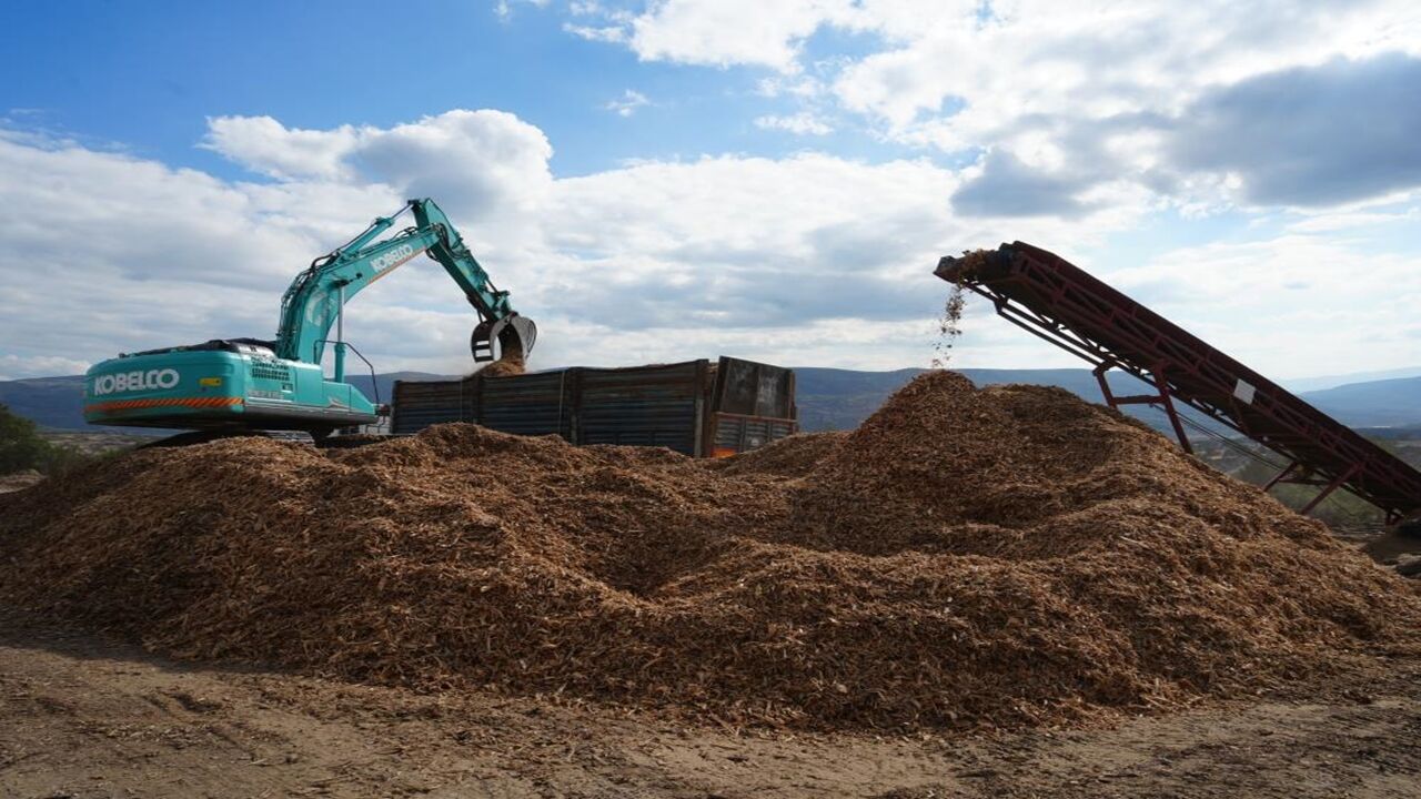 Kastamonu Da Ormarlar Yeniden Yeşerecek (5)
