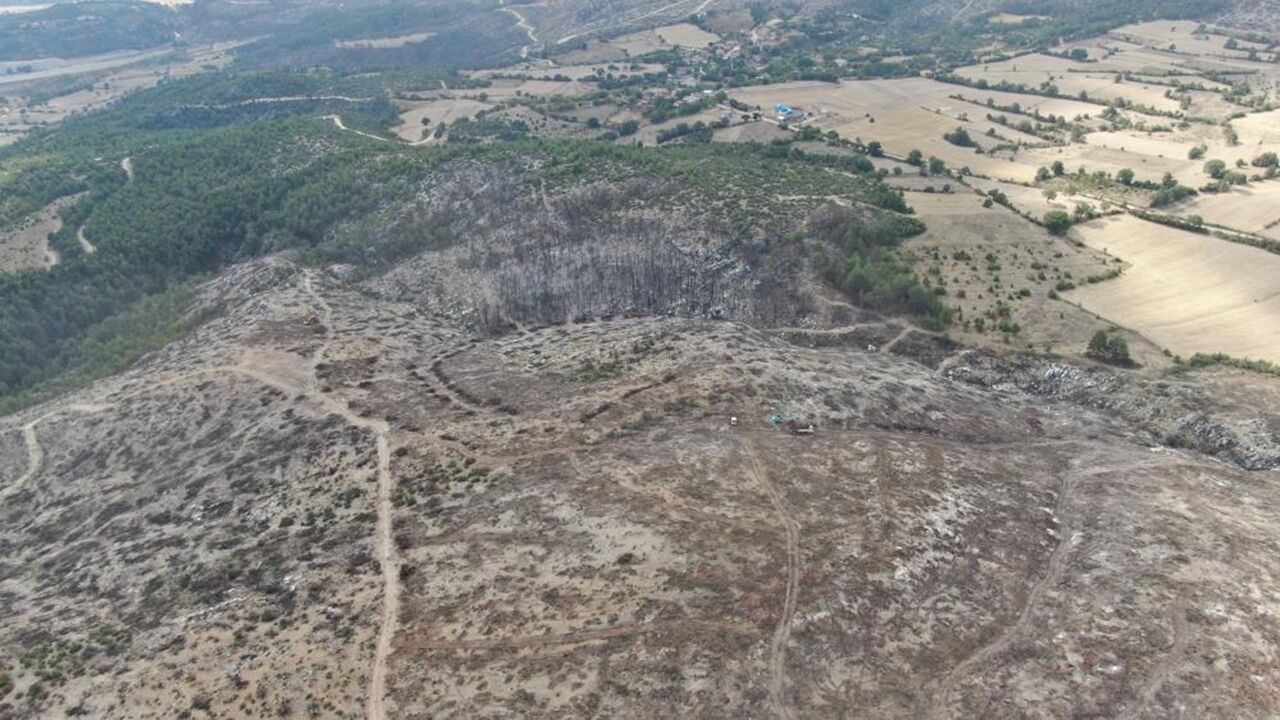 Kastamonu Da Ormarlar Yeniden Yeşerecek (6)