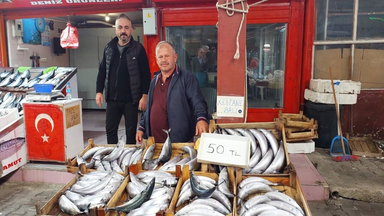 Kastamonu Da Palamut 50 Lira