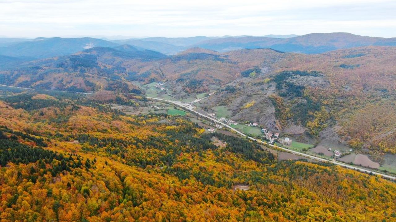Kastamonu Da Renk Çümbüşü Sonbahar (1)