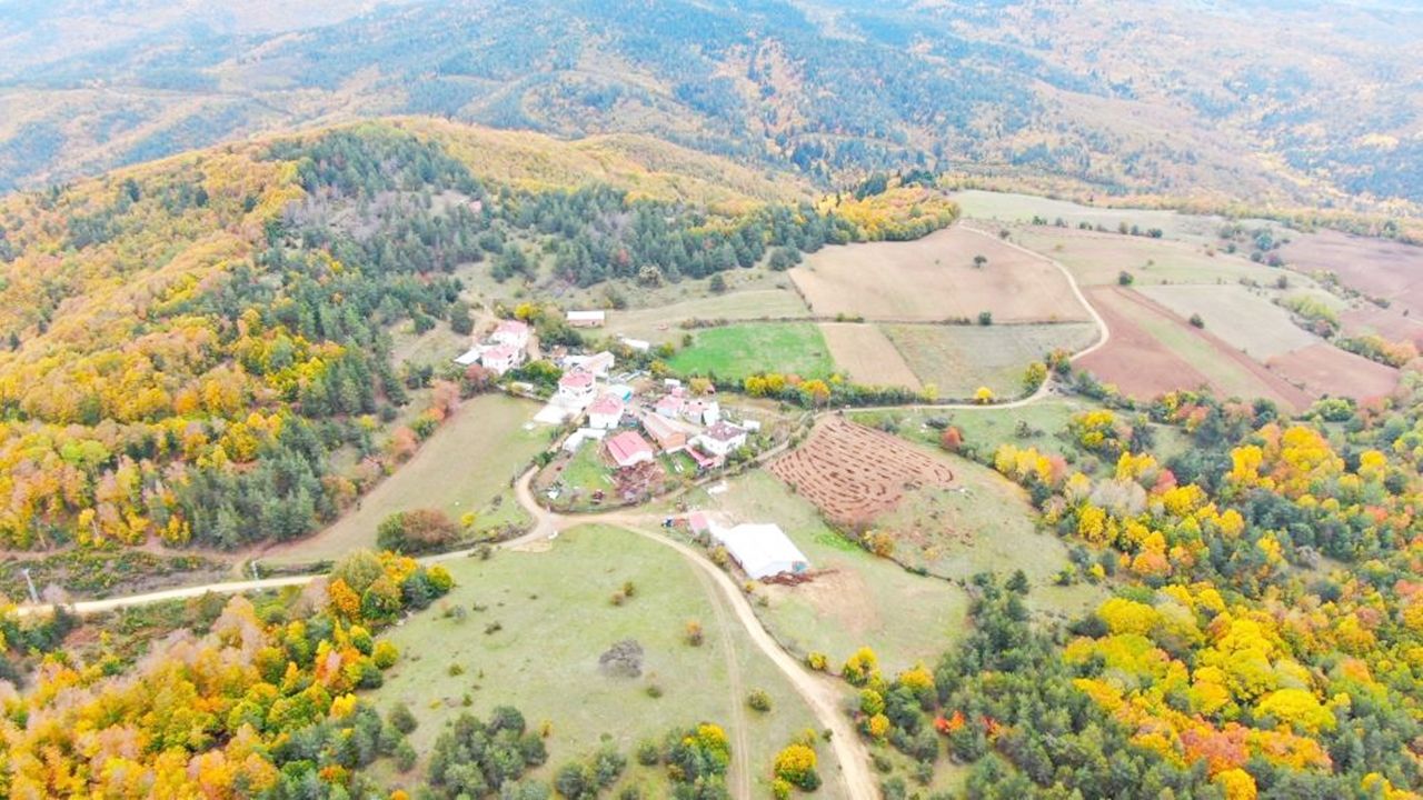 Kastamonu Da Renk Çümbüşü Sonbahar (3)