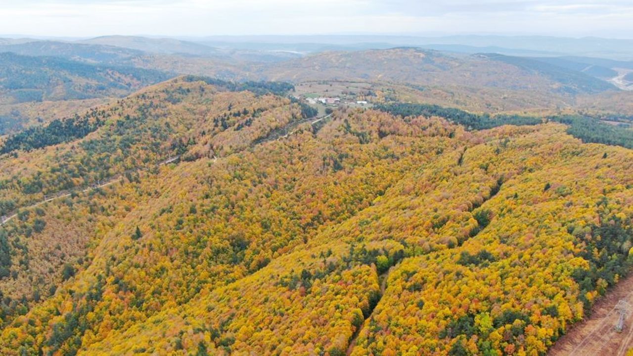 Kastamonu Da Renk Çümbüşü Sonbahar (7)