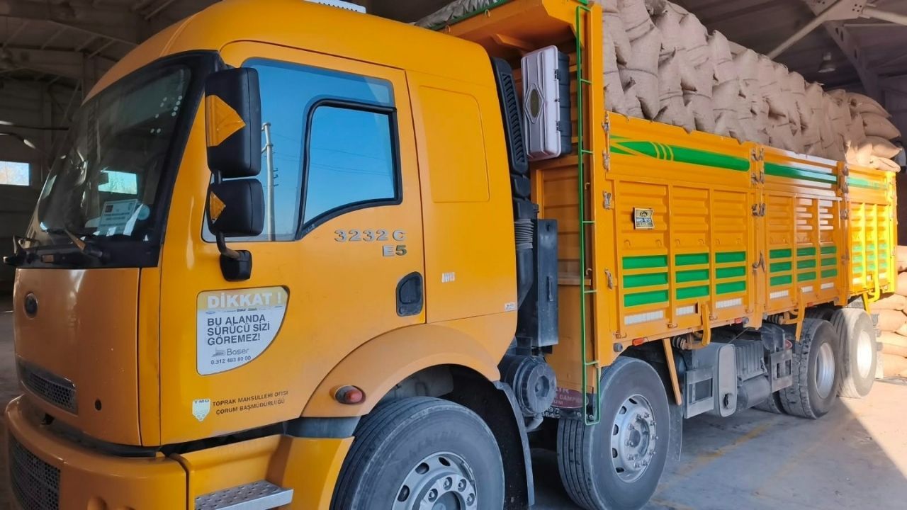Kastamonu'da 200 üreticiden 100 tonu aşkın fındık alındı