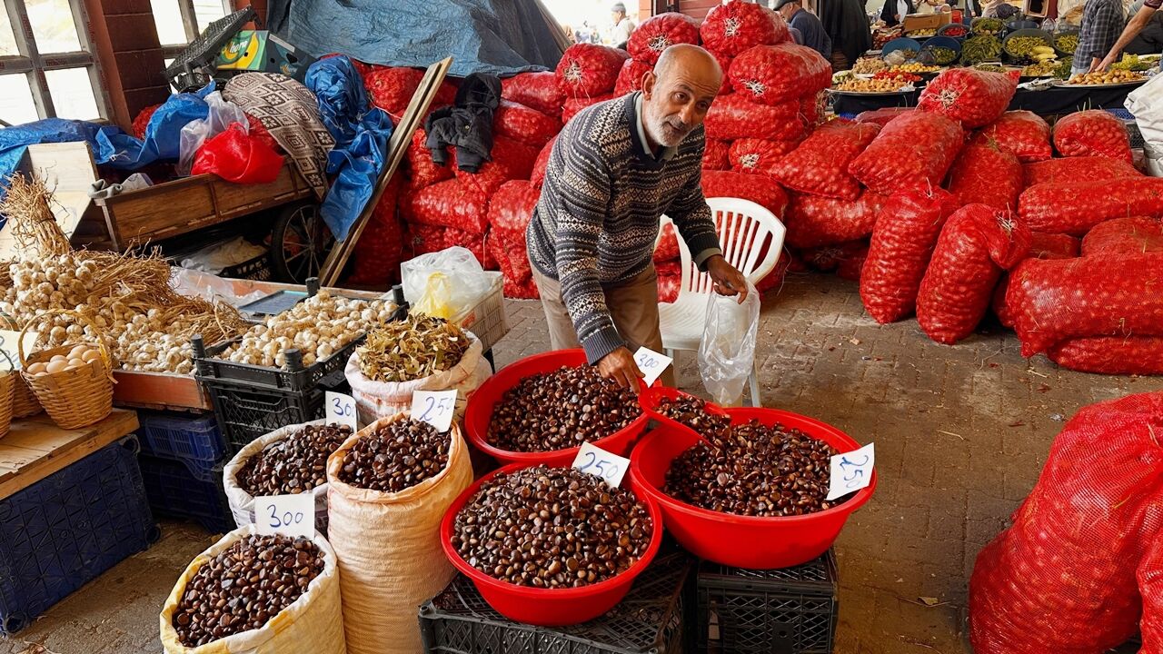 Kastamonu Inebolu Kestane Fiyat (1)