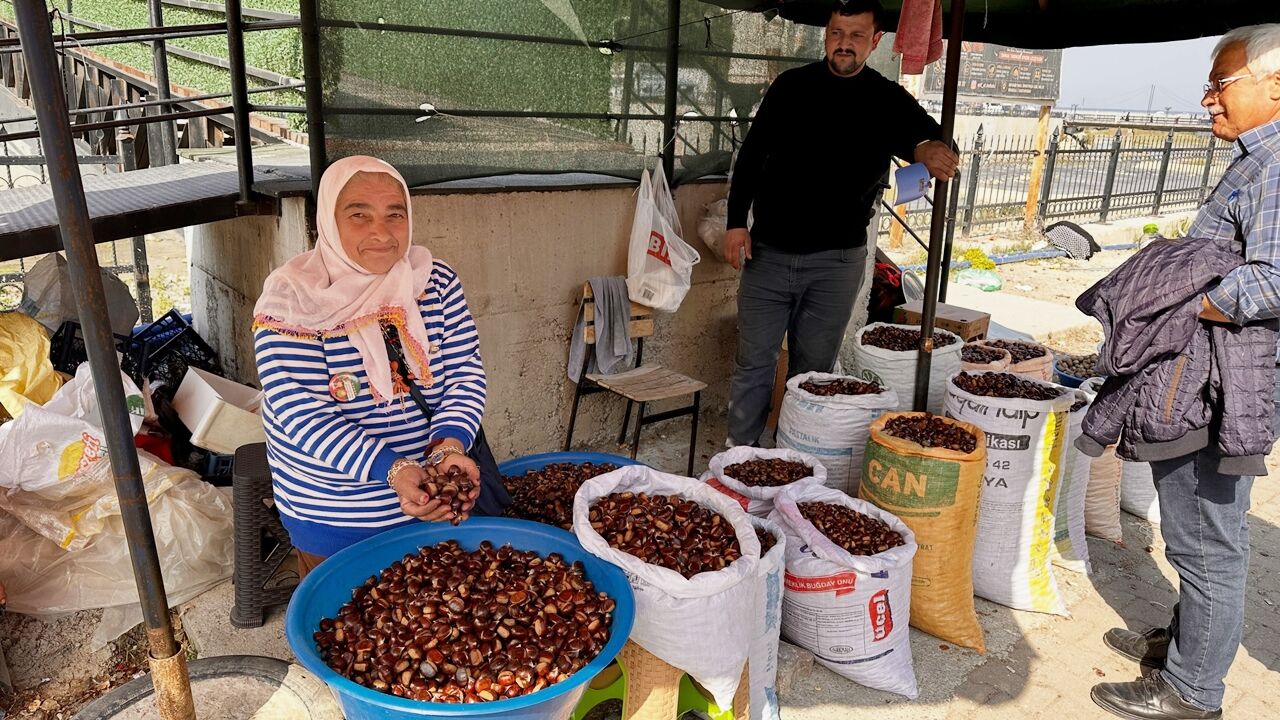 Kastamonu Inebolu Kestane Fiyat (2)