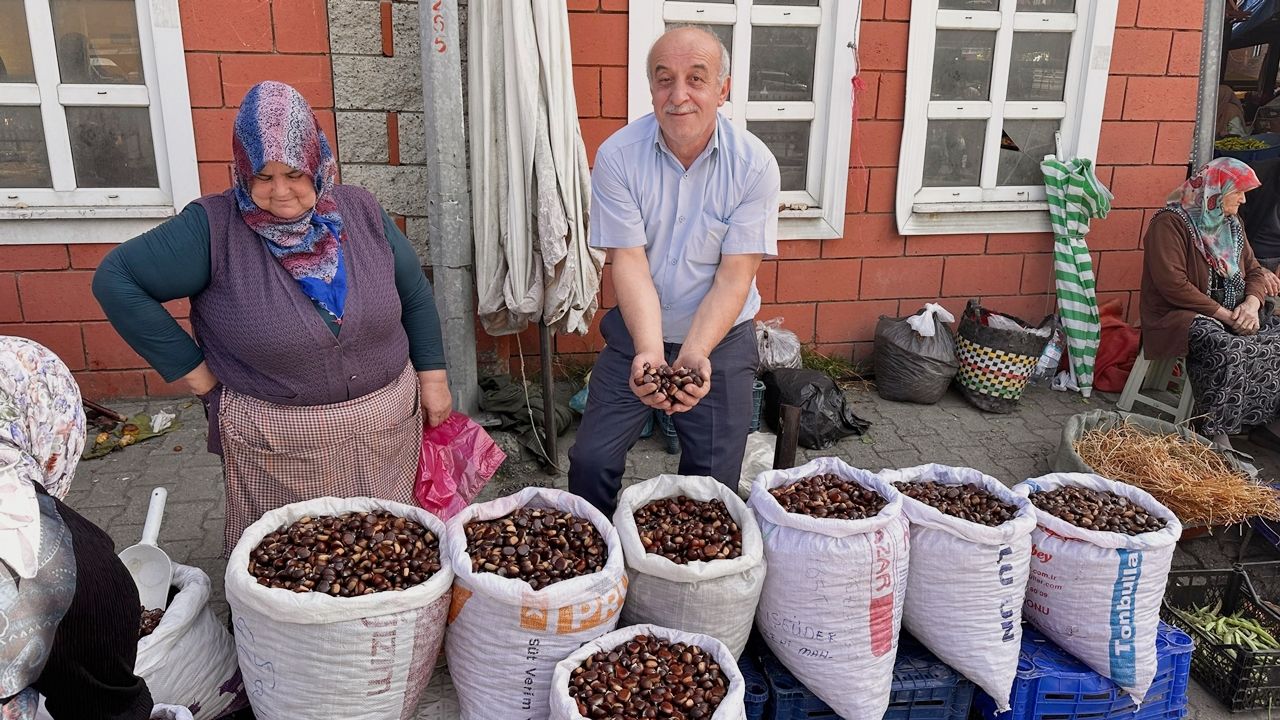 Kastamonu'da sevindiren kestane haberi