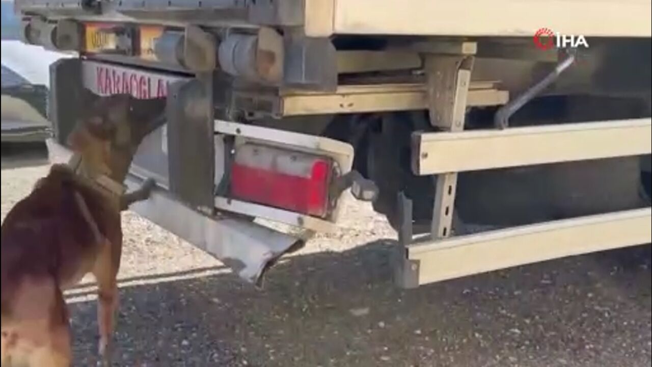 Kastamonu Kaçakçılık Operasyon (2)