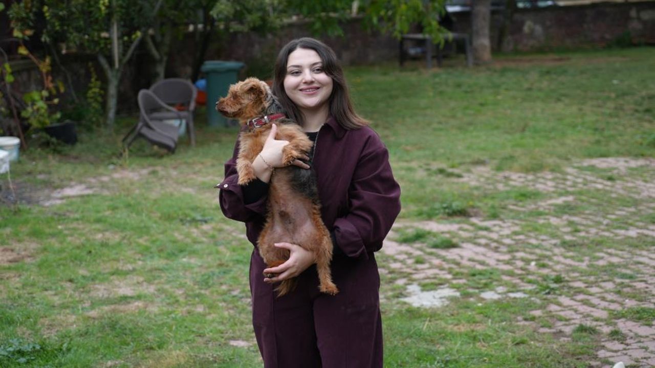 Kastamonu Köpek Sevgisi Iş Sahibi Yaptı (4)