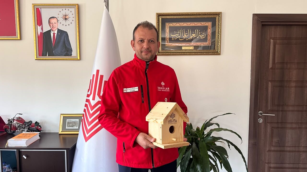 Kastamonu Kuş Yuvası (4)