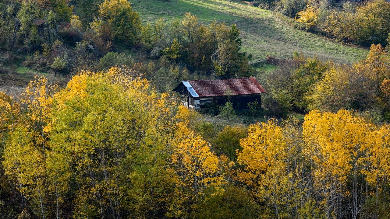 Kastamonu Sonbahar Renkleri (1)