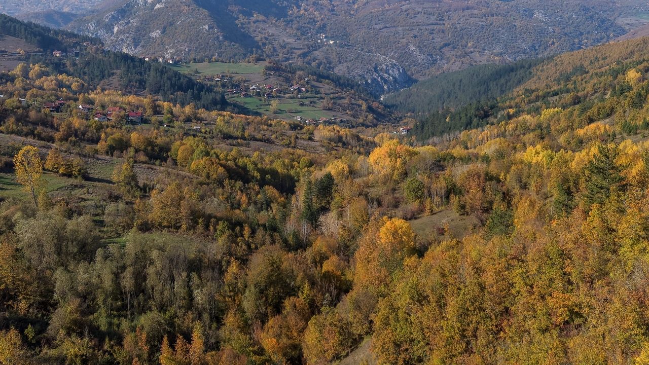 Kastamonu Sonbahar Renkleri (4)