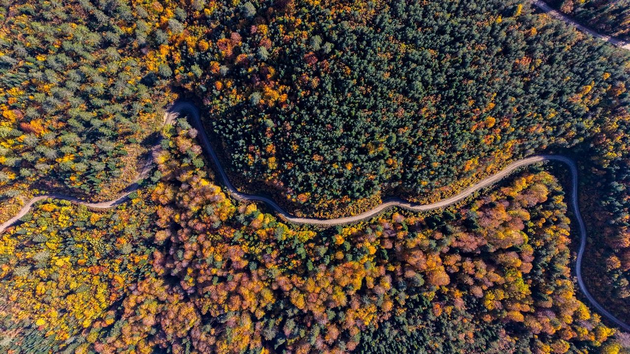 Kastamonu Sonbahar Renkleri (5)