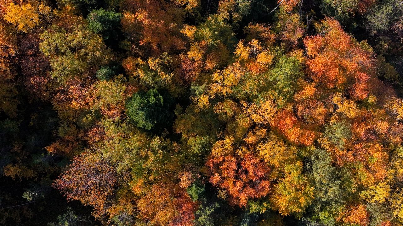 Kastamonu Sonbahar Renkleri (6)