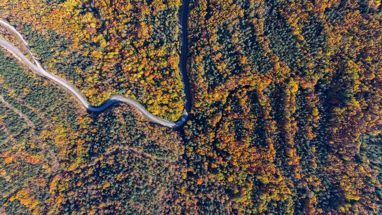 Kastamonu Sonbahar Renkleri (7)