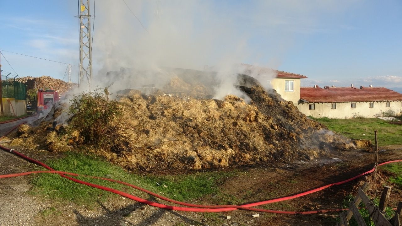 Kastamonu’da Alevler Çiftliği Sardı! Binlerce Balya Saman Yandı 1