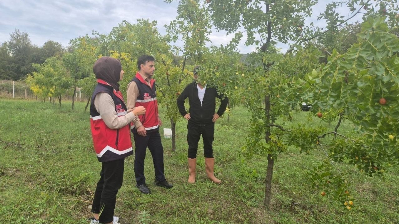 Kastamonu’da Alternatif Tarımın Yeni Gözdesi Incelendi (1)