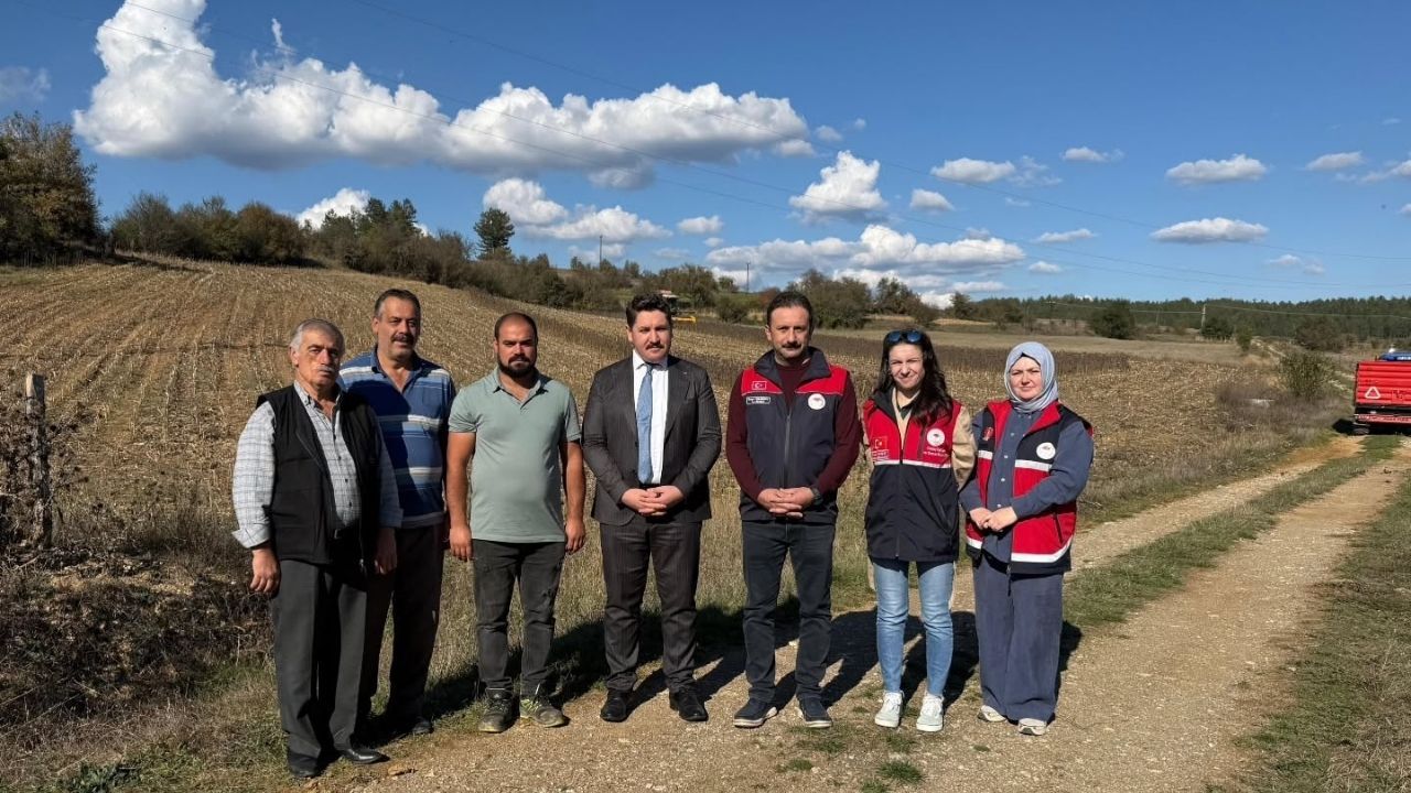 Kastamonu'da Ayçiçeği Tarlalarında Yerli Üretim Heyecanı (2)