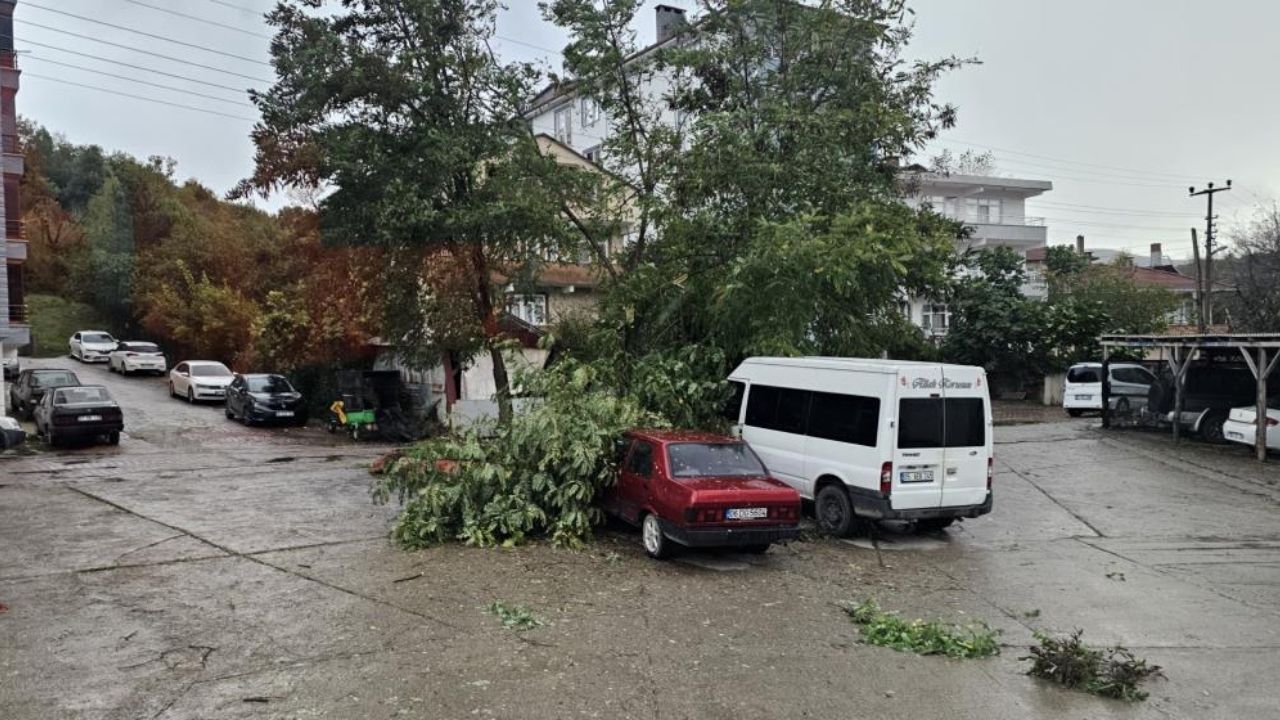 Kastamonu'da fırtına hayatı felç etti! Çatılar uçtu, ağaçlar devrildi