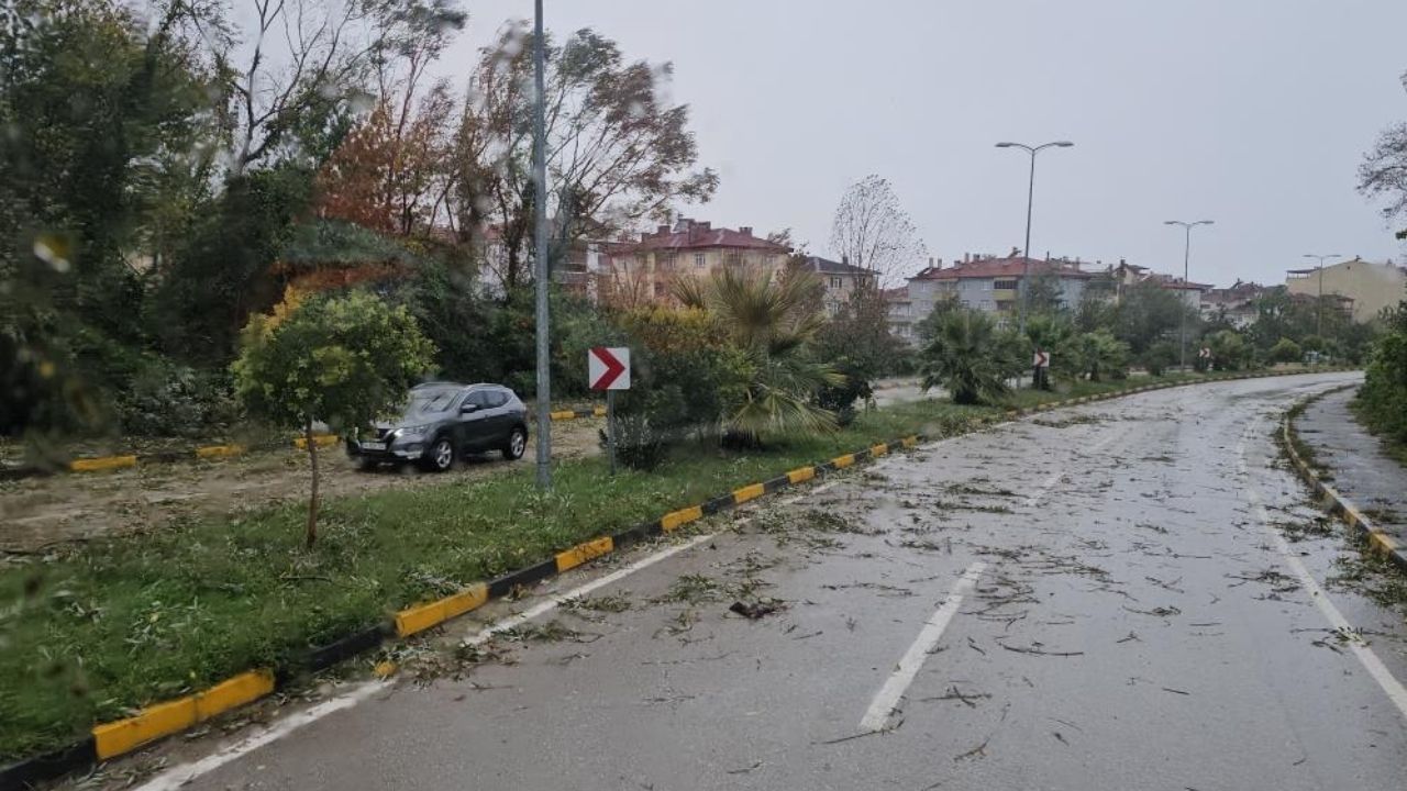 Kastamonu'da Fırtına Hayatı Felç Etti! Çatılar Uçtu, Ağaçlar Devrildi (2)