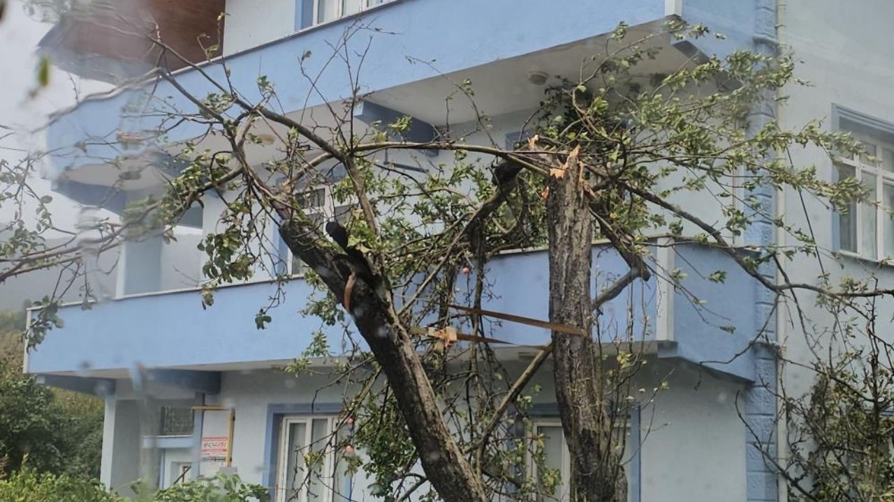 Kastamonu'da Fırtına Hayatı Felç Etti! Çatılar Uçtu, Ağaçlar Devrildi (3)