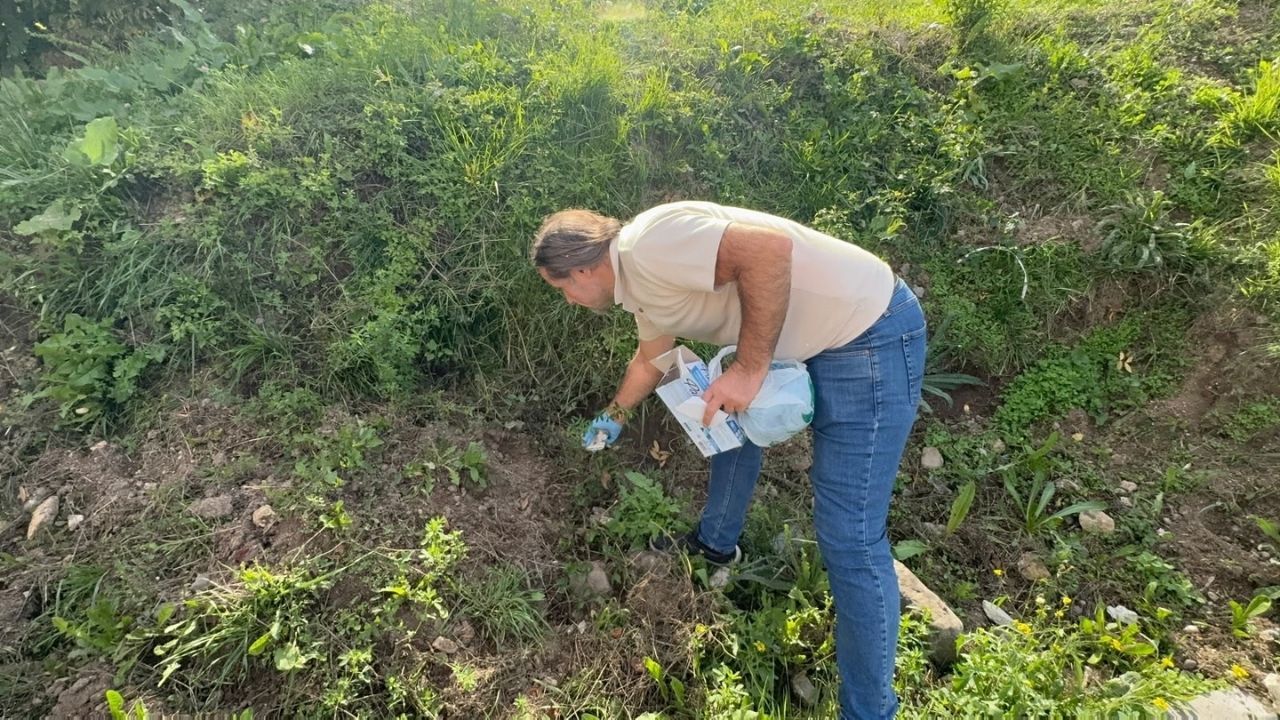 Kastamonu’da Öğrenciler Kampüse El Attı 10 Torba Çöp Toplandı (3)