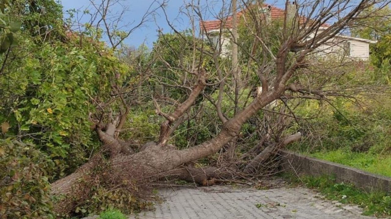 Kastamonu'da Turuncu Kod Hayatı Felç Etti! (1)