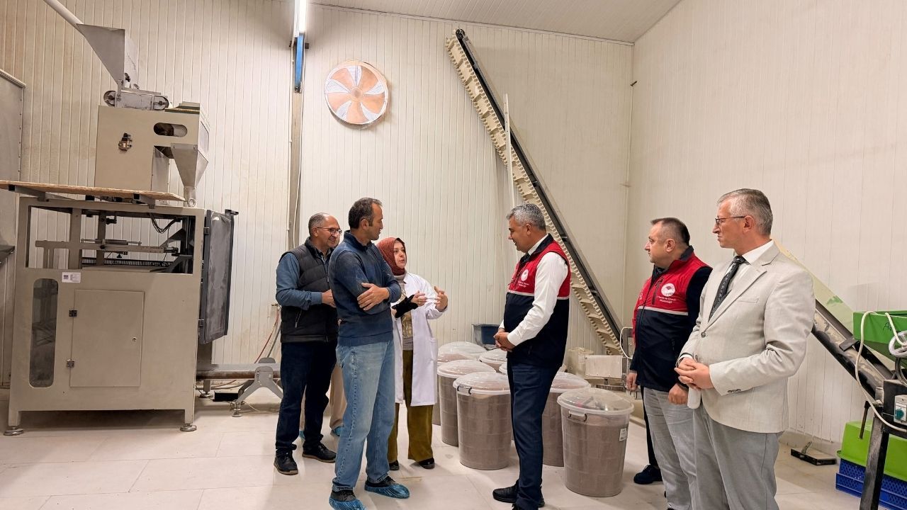 Katamonu’da Siyez Üretimi Mercek Altına Alındı (2)