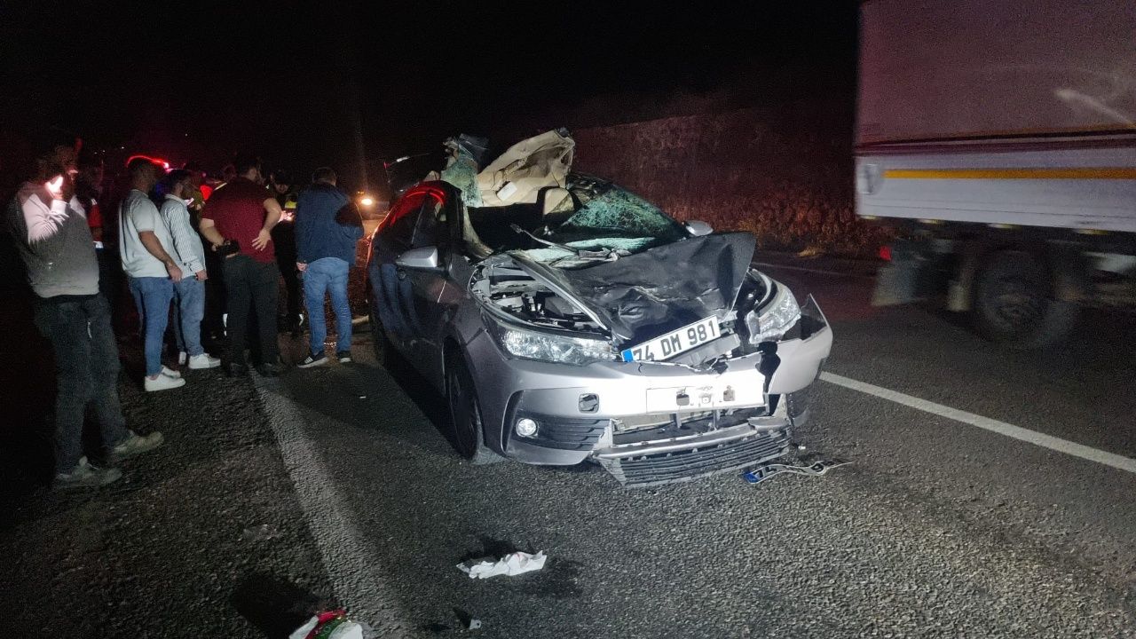 Köy Yolunda Kaza! Otomobilin Çarptığı Büyükbaş Hayvan Telef Oldu 1