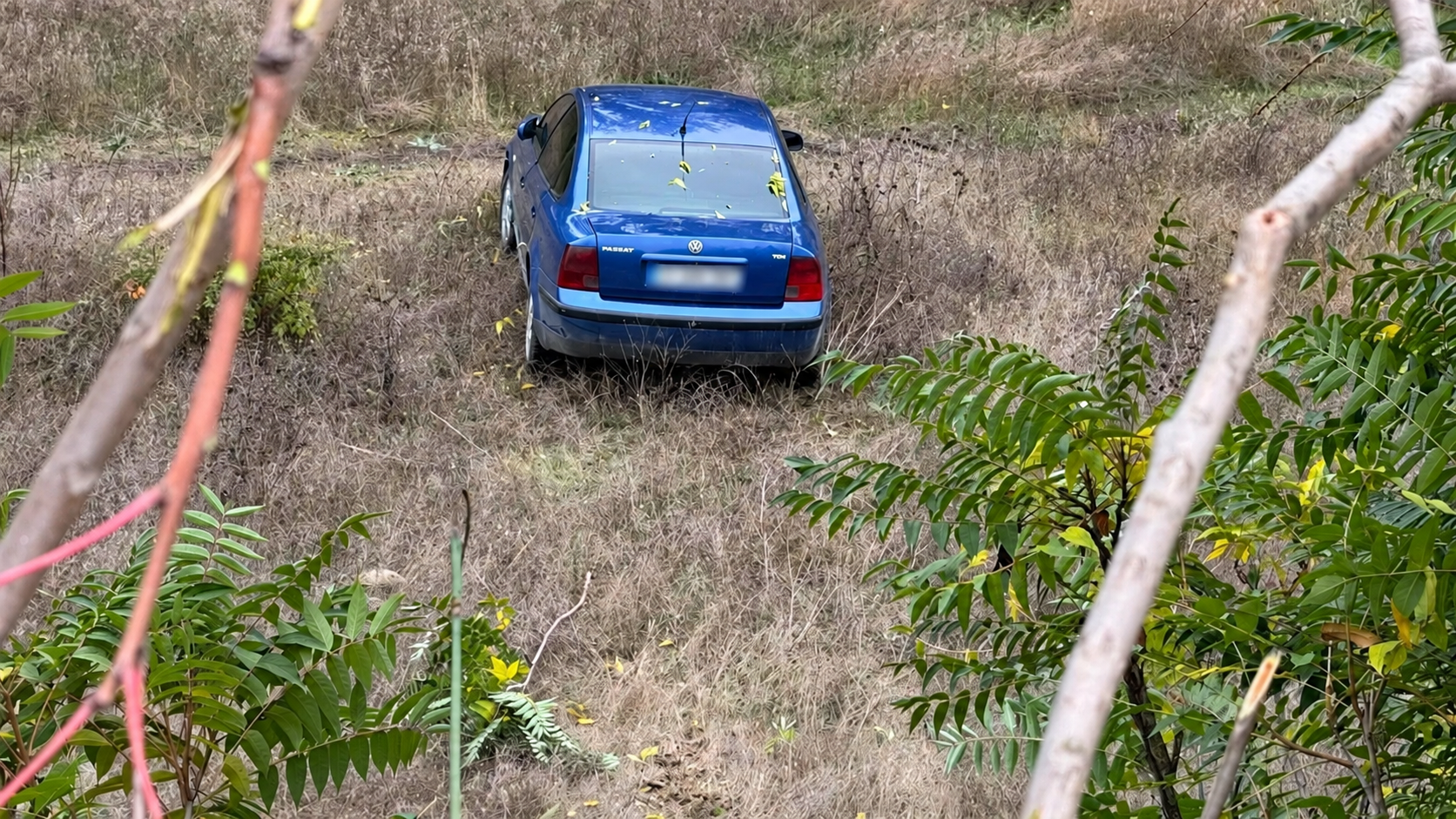 Kuru Otların Arasında Terk Edilmiş Passat