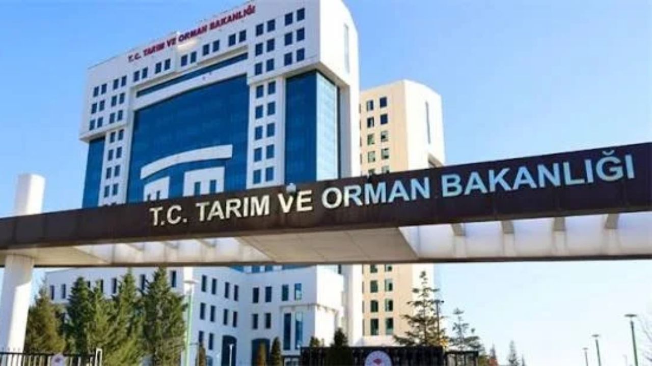 Tarım Ve Orman Bakanlığı Personel Alacak! Başvuru Şartları Belli Oldu