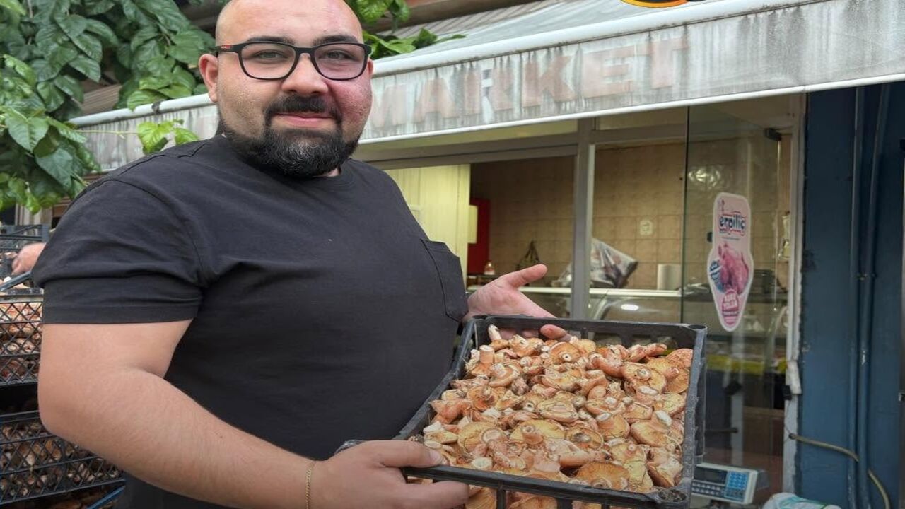Taşköprü De 1 Ton Kanlıca Mantarı